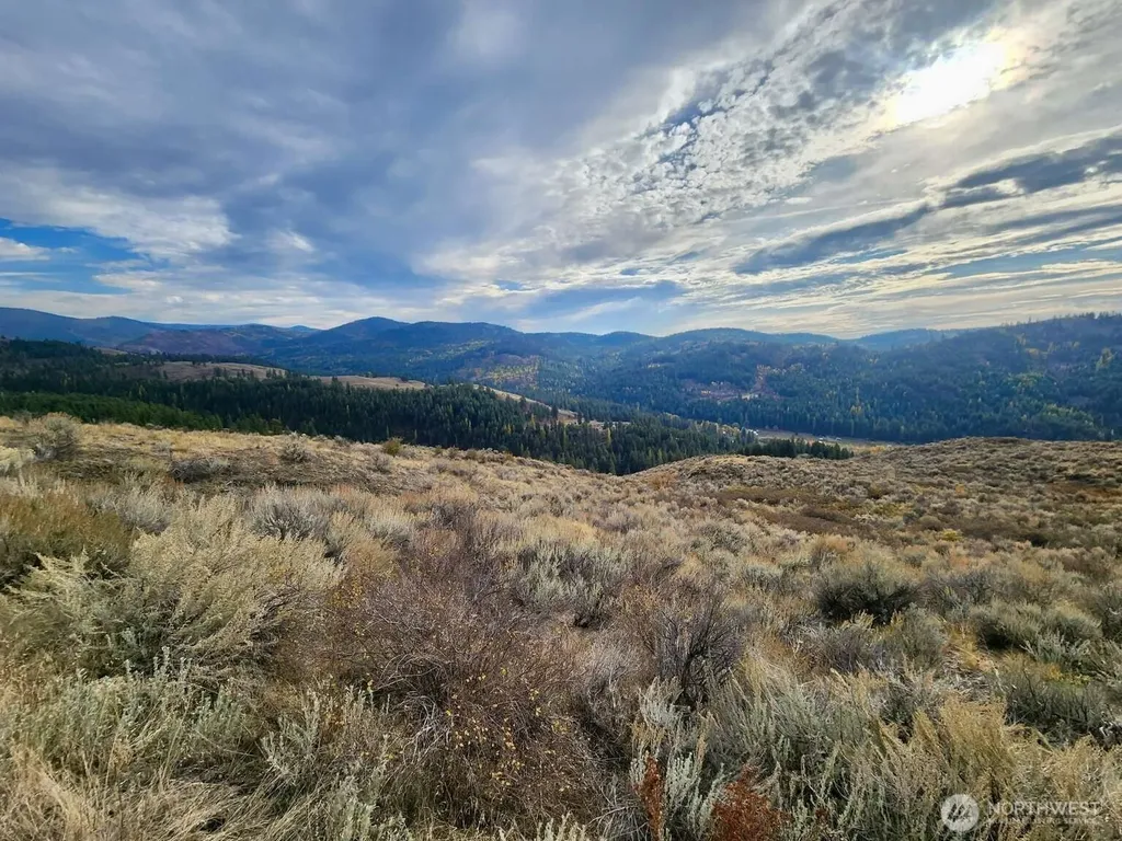 48 Oleander Road Republic WA 99166