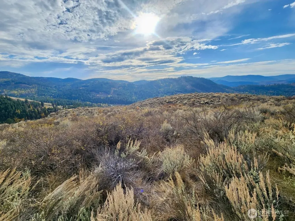 48 Oleander Road Republic WA 99166