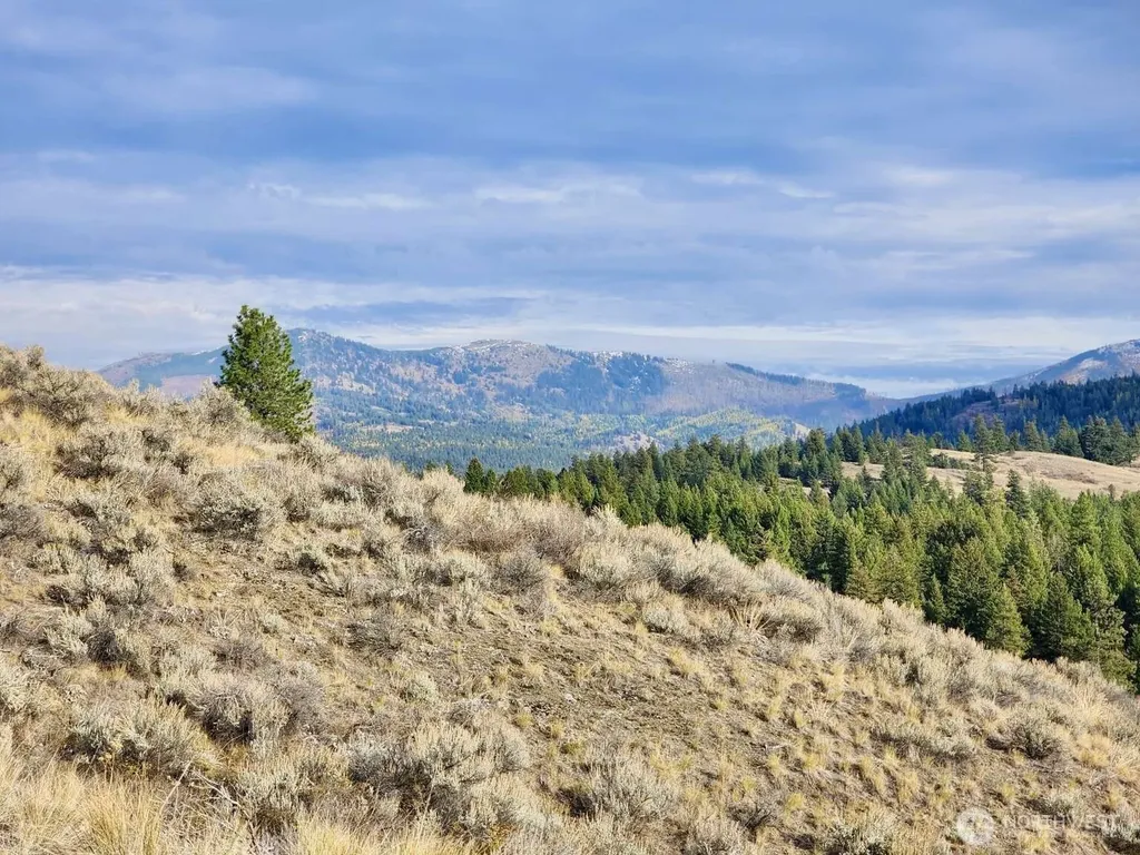 48 Oleander Road Republic WA 99166