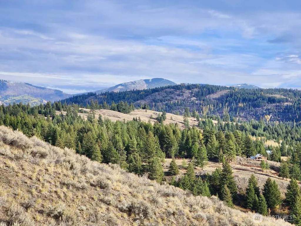 48 Oleander Road Republic WA 99166
