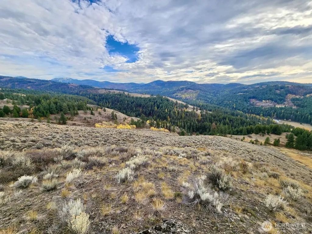 48 Oleander Road Republic WA 99166