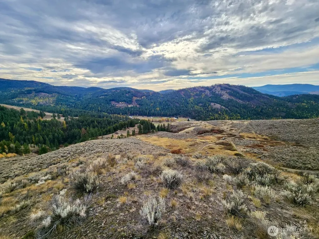 48 Oleander Road Republic WA 99166