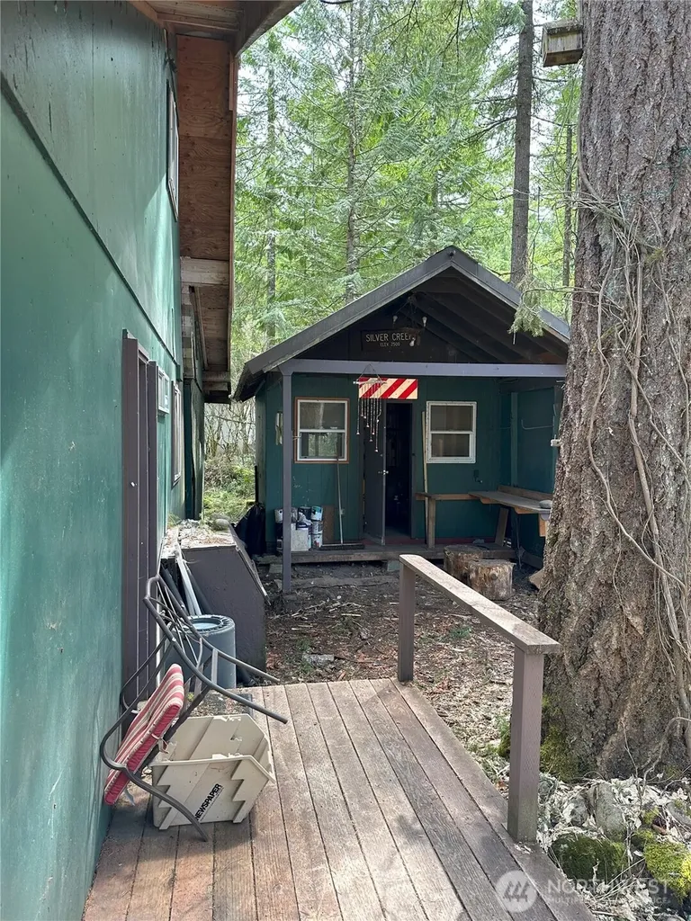 123 Mountain Drive N Ashford WA 98304