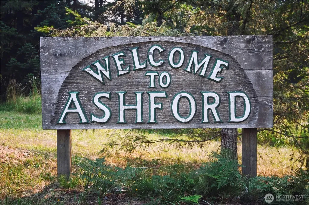 123 Mountain Drive N Ashford WA 98304
