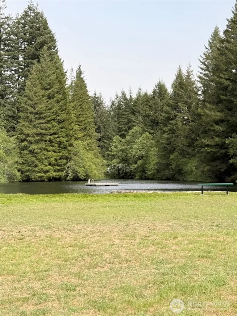 123 Mountain Drive N Ashford WA 98304