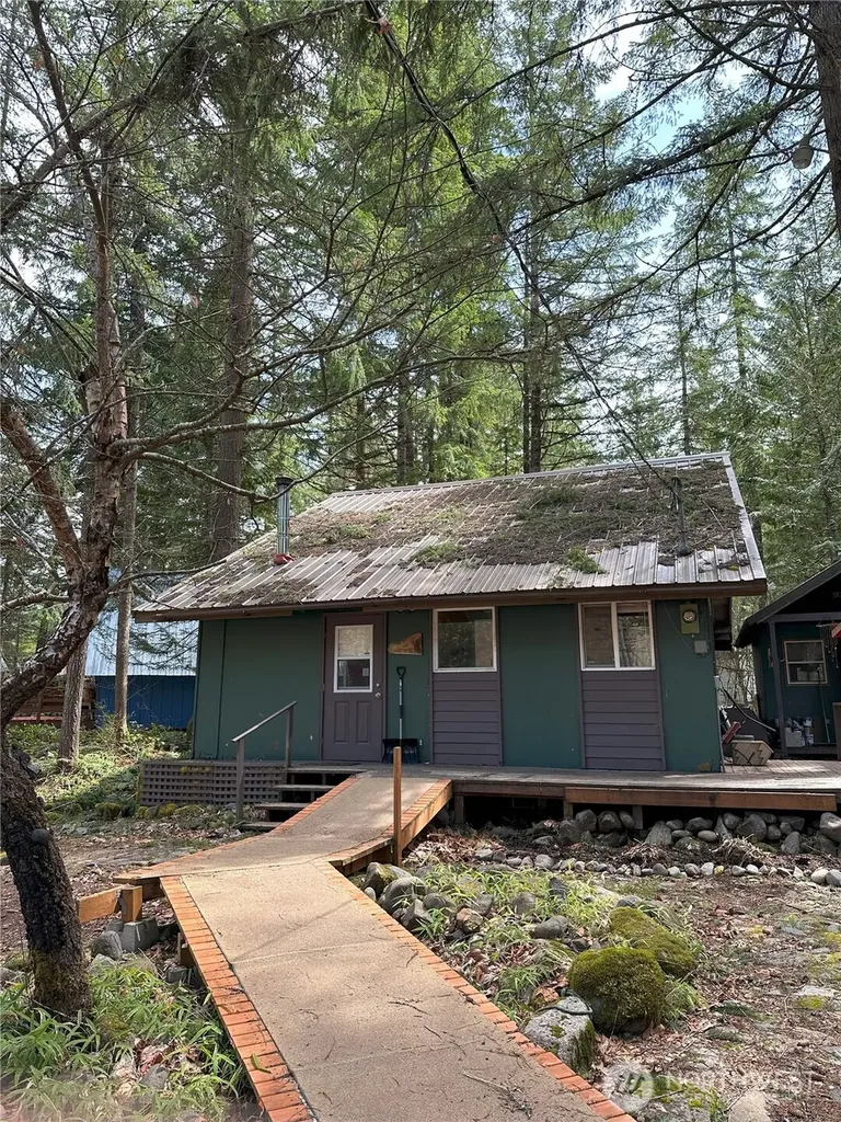 123 Mountain Drive N Ashford WA 98304