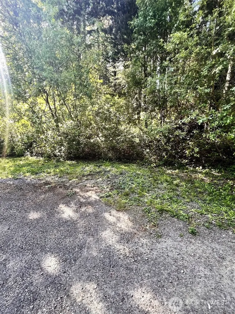 61 NE Fern Court Tahuya WA 98588