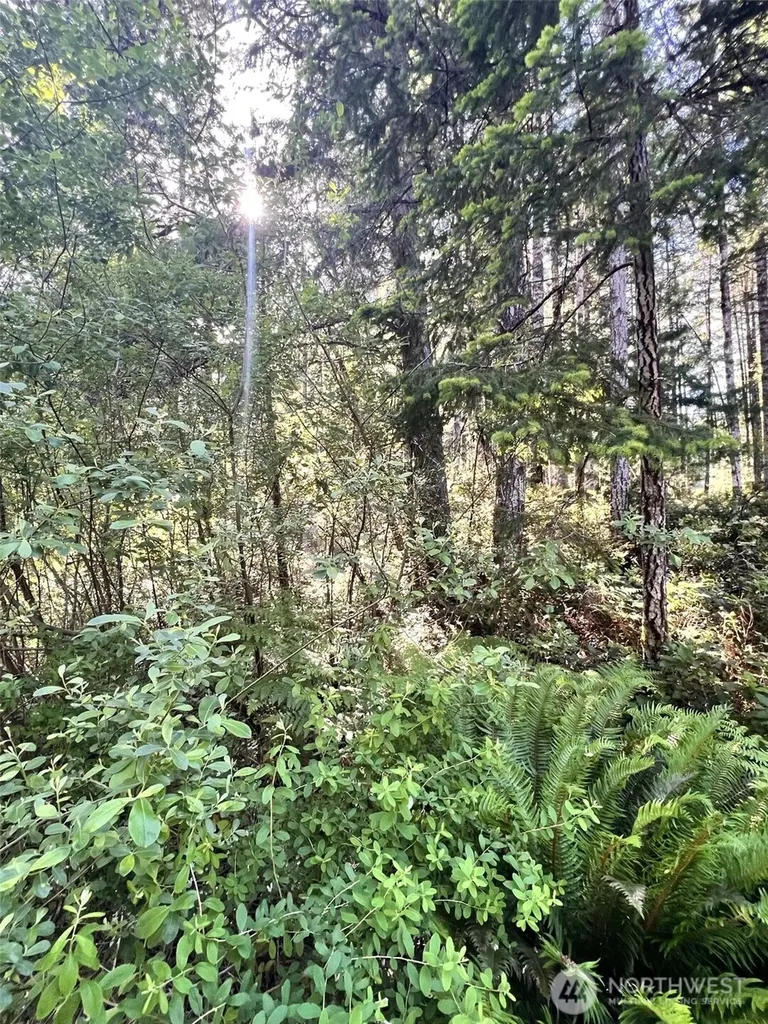61 NE Fern Court Tahuya WA 98588