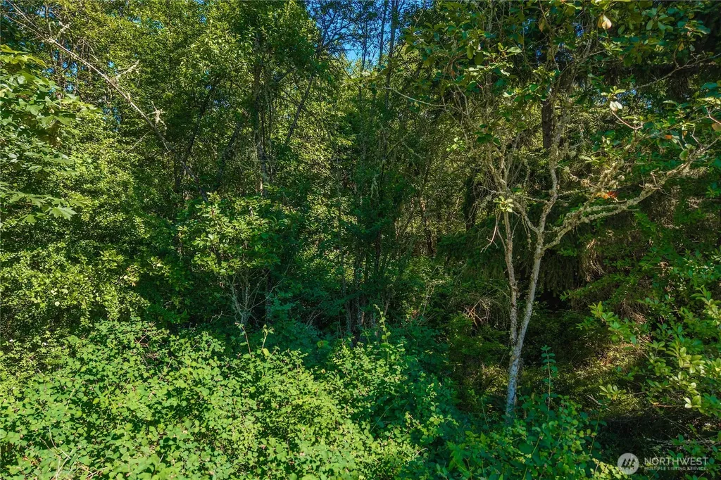 11601 212th Street E Graham WA 98338