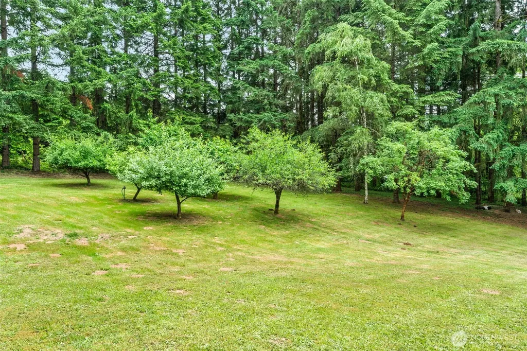 124 Brown Road E Chehalis WA 98532