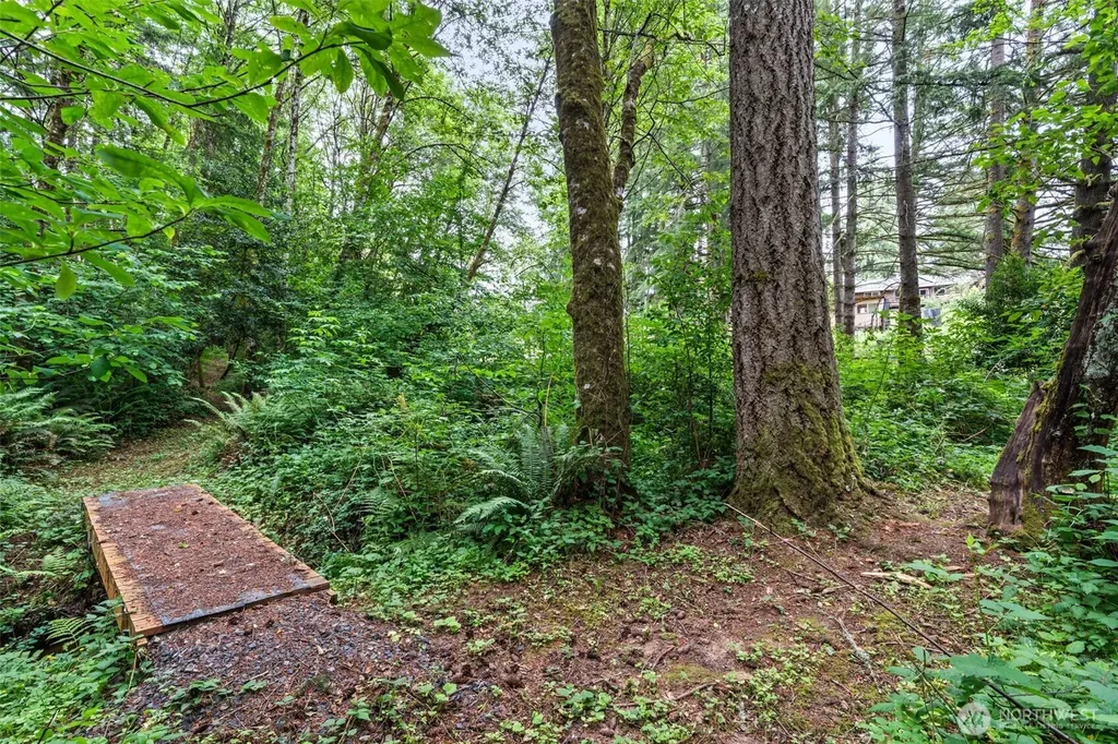 124 Brown Road E Chehalis WA 98532