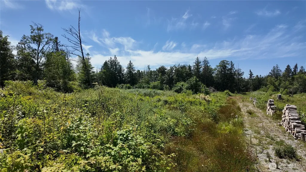 1 Seaview Lane Mount Vernon WA 98273