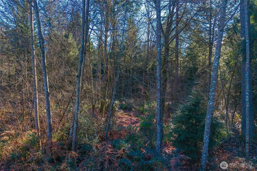 67 258th Avenue NE Redmond WA 98053