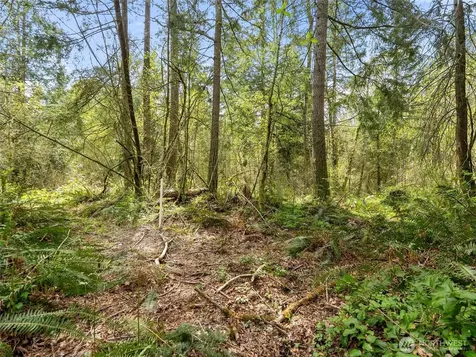 67 258th Avenue NE Redmond WA 98053
