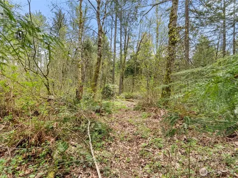 67 258th Avenue NE Redmond WA 98053
