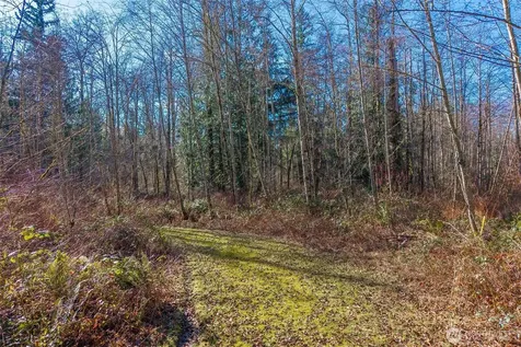 67 258th Avenue NE Redmond WA 98053