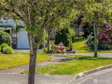 4029 Crystal Ridge Drive SE Puyallup WA 98372