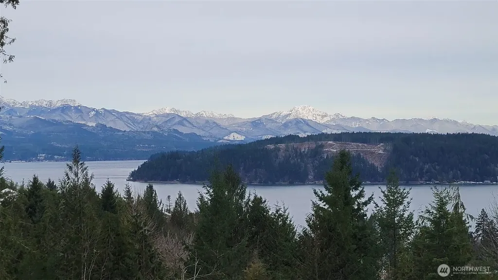91 E Jack Pine Lane Union WA 98592