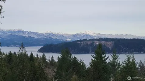 91 E Jack Pine Lane Union WA 98592