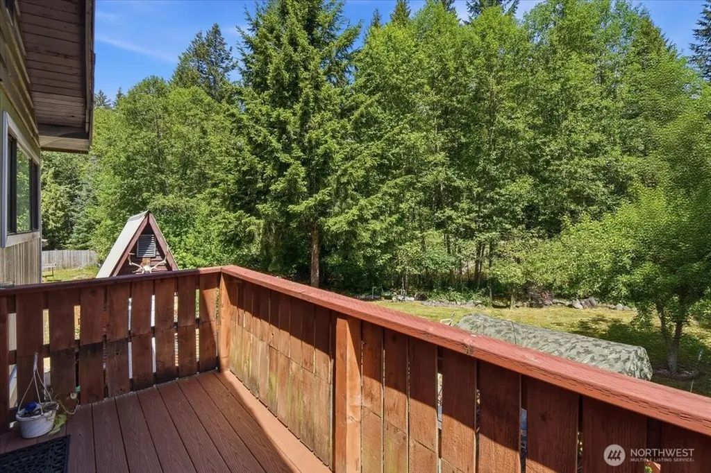 116 Mountain View Drive N Ashford WA 98304
