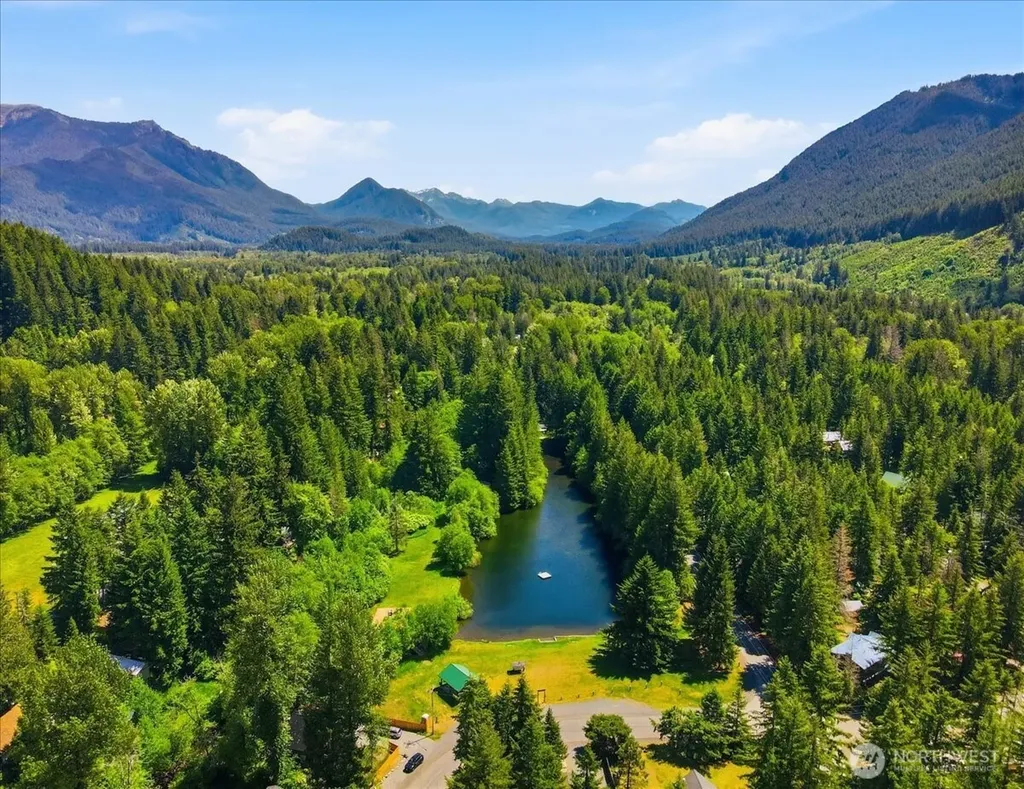 116 Mountain View Drive N Ashford WA 98304