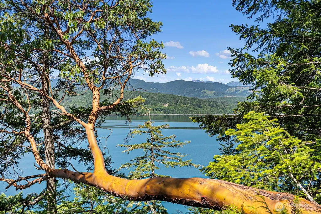 3 Lot 3 Capstan Rock Tahuya WA 98588
