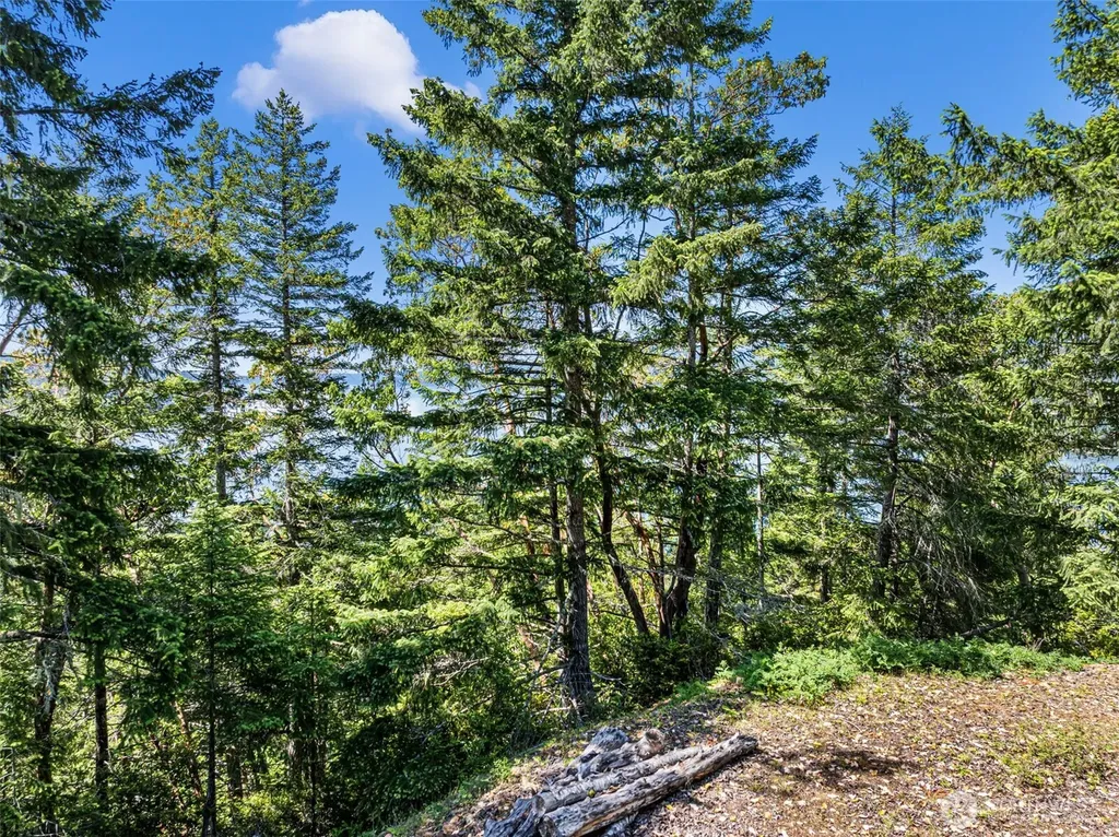 2 Lot 2 Capstan Rock Tahuya WA 98588