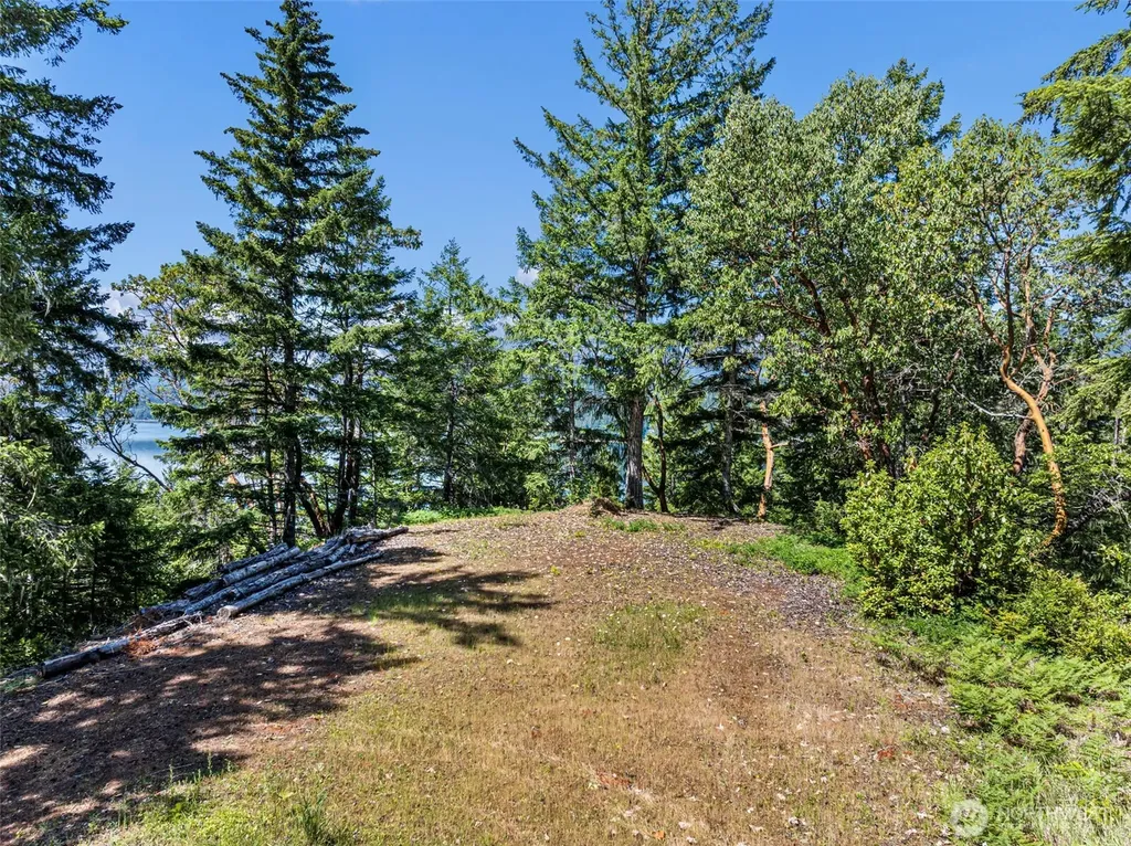 2 Lot 2 Capstan Rock Tahuya WA 98588