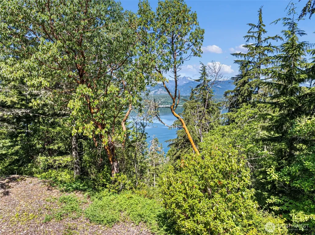 2 Lot 2 Capstan Rock Tahuya WA 98588