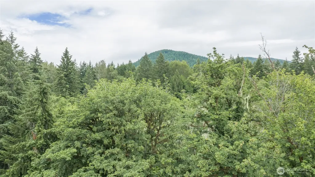 670 N Duckabush Drive N Hoodsport WA 98548