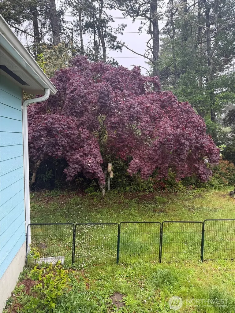 27516 O Street Ocean Park WA 98640