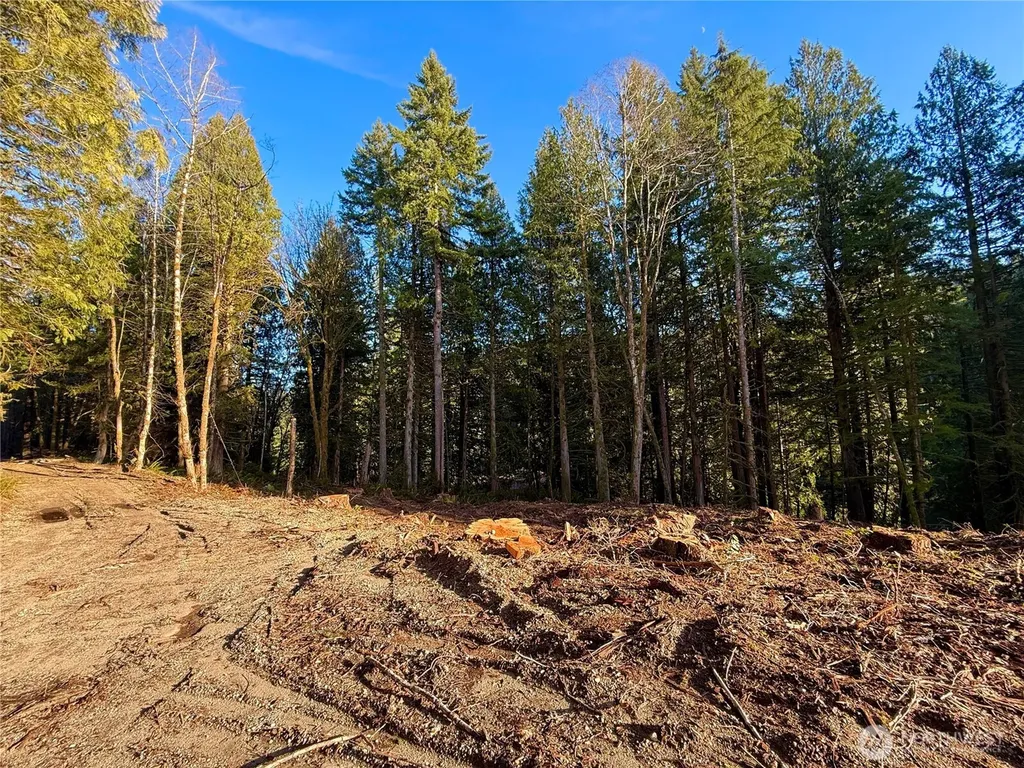 100 E Lakewood Drive Belfair WA 98528
