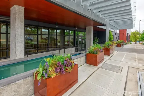 1085 103rd Avenue NE Bellevue WA 98004