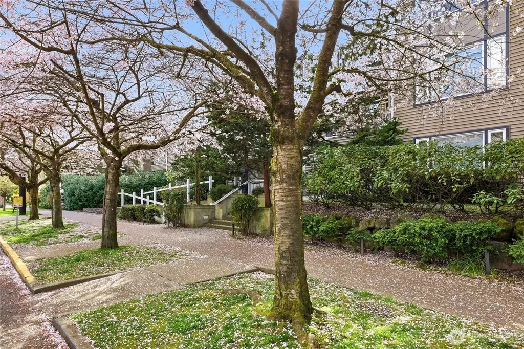 215 20th Avenue E Seattle WA 98112