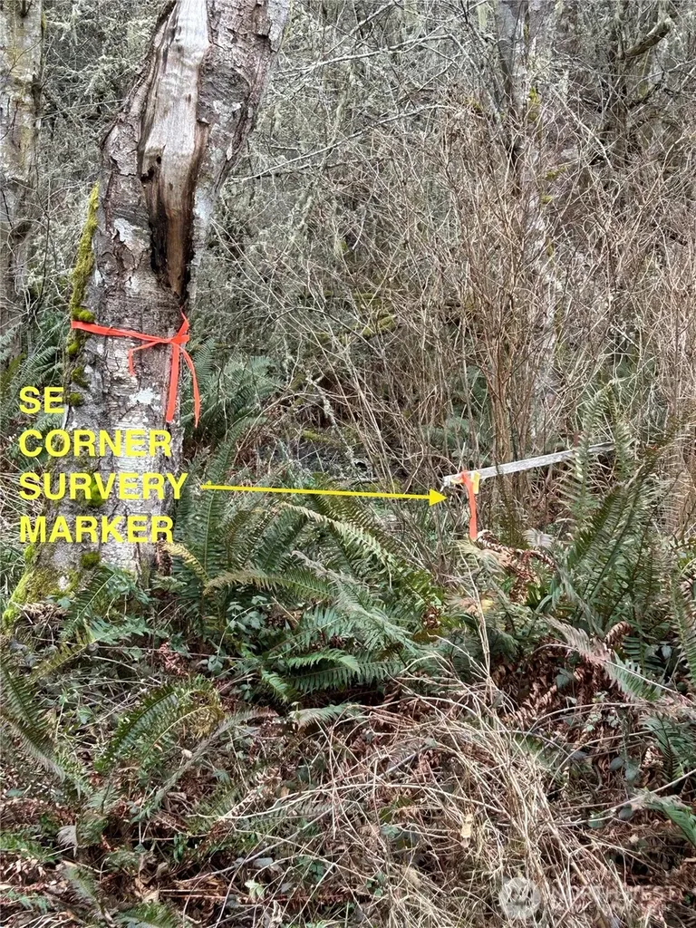 0 933600901 Port Townsend WA 98368
