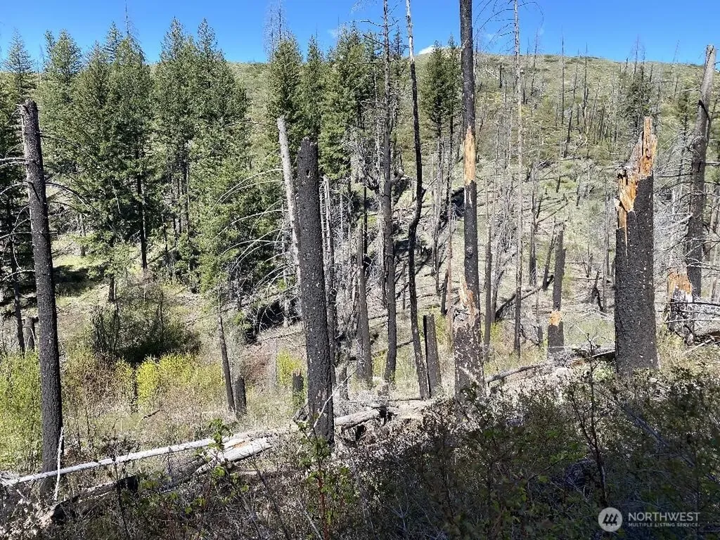 123 Buzzard Lake Road Okanogan WA 98840