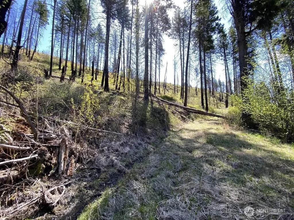 123 Buzzard Lake Road Okanogan WA 98840