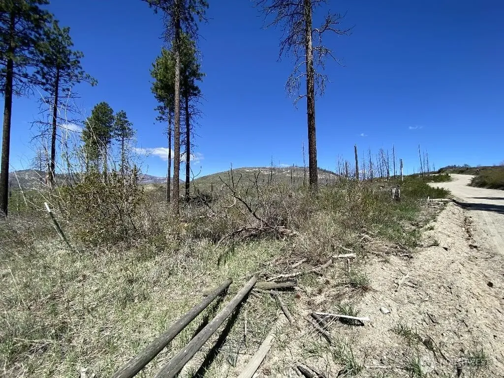 123 Buzzard Lake Road Okanogan WA 98840