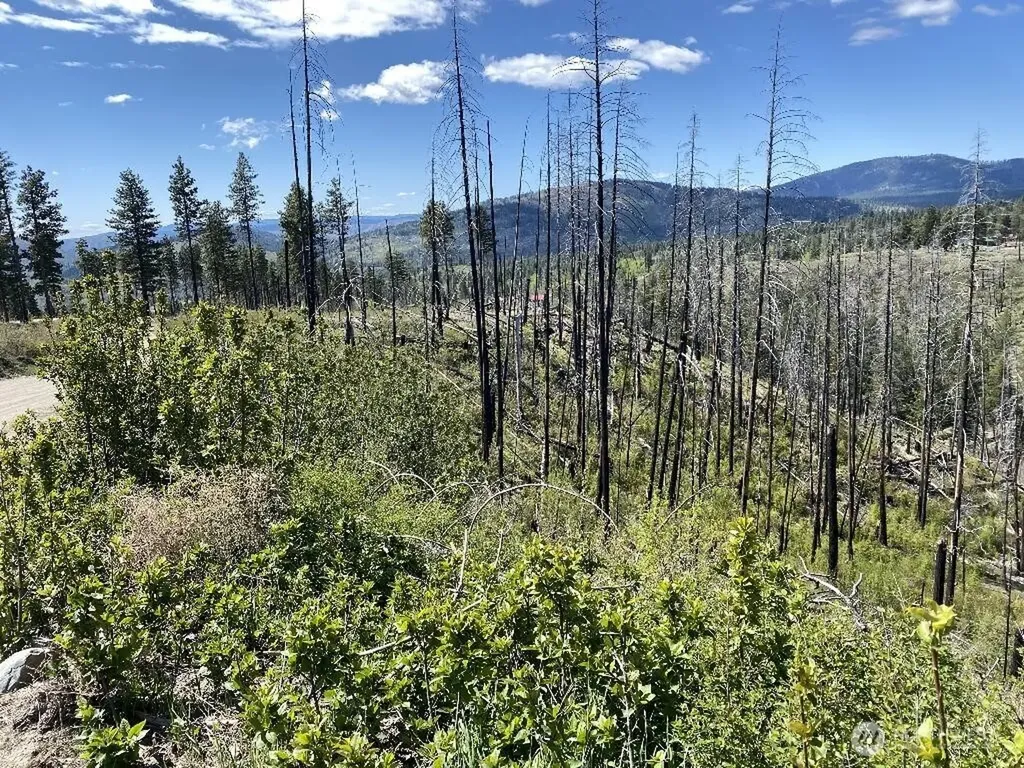 123 Buzzard Lake Road Okanogan WA 98840