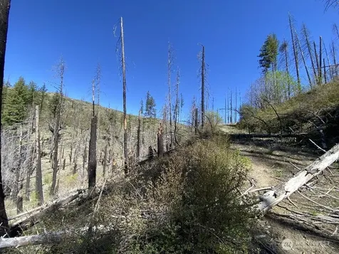 123 Buzzard Lake Road Okanogan WA 98840