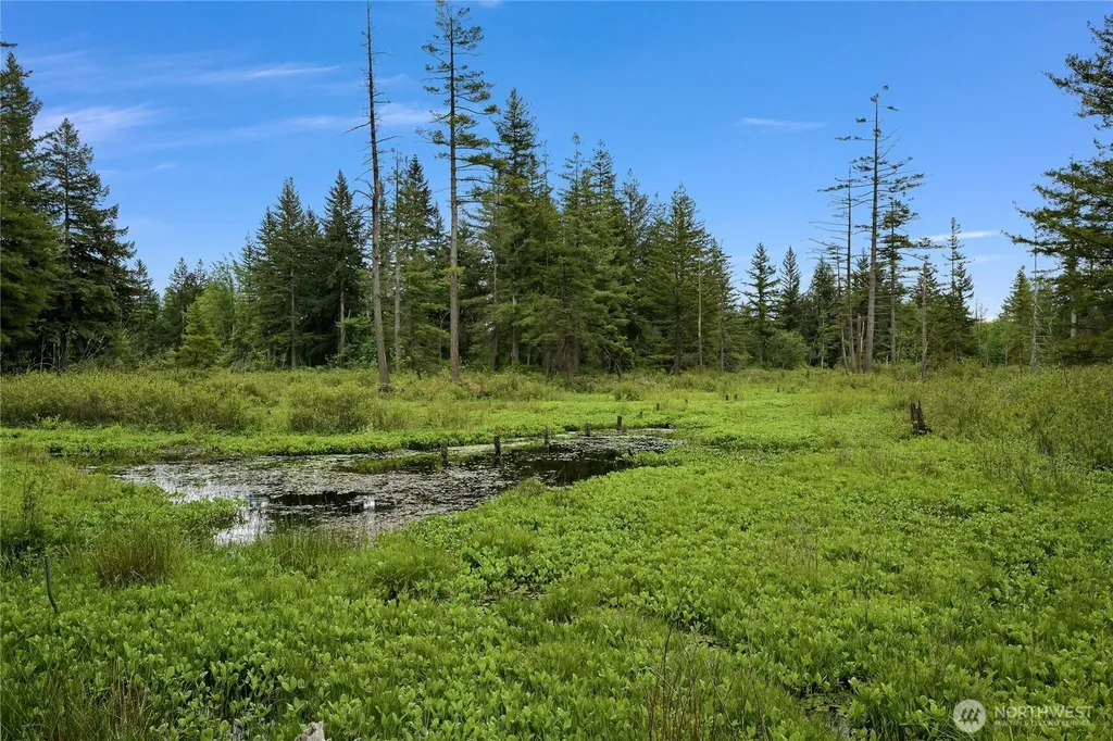 9954 Peace Road Blaine WA 98230