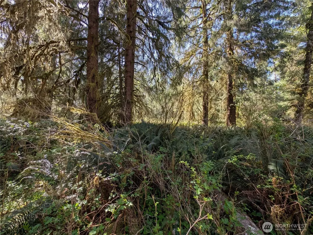 999 Hoh River Park Drive Forks WA 98331