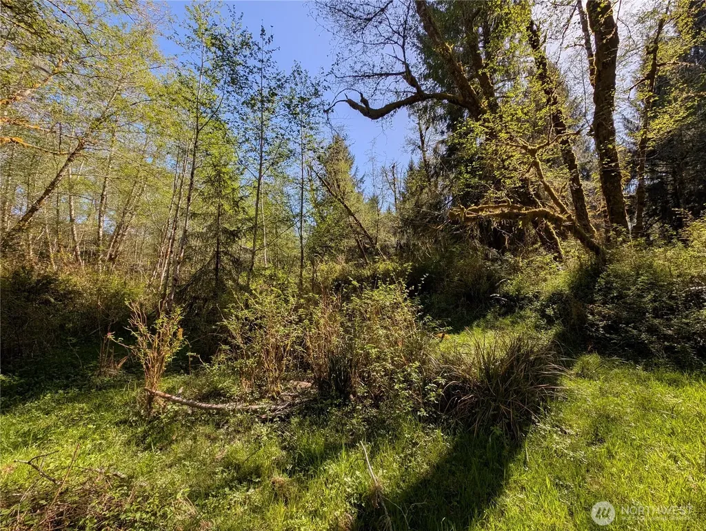 999 Hoh River Park Drive Forks WA 98331