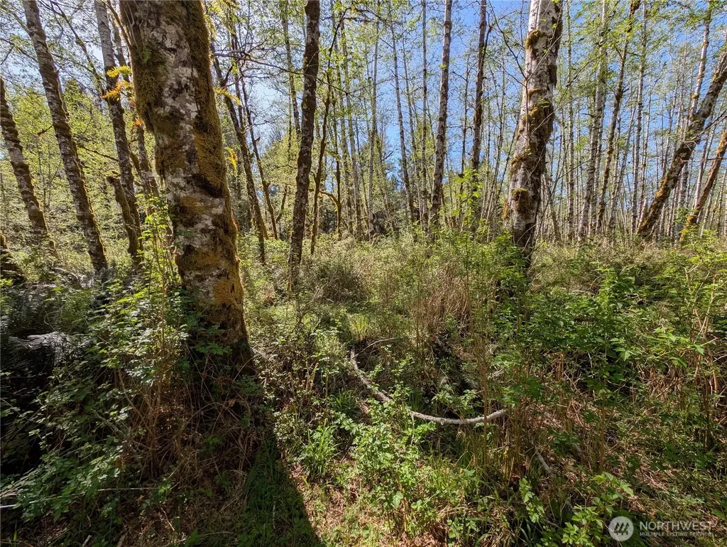 999 Hoh River Park Drive Forks WA 98331