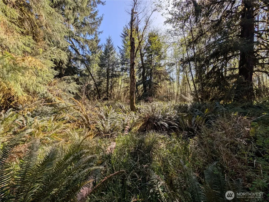999 Hoh River Park Drive Forks WA 98331
