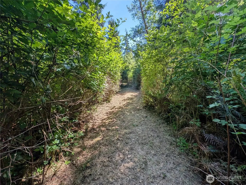 999 Hoh River Park Drive Forks WA 98331