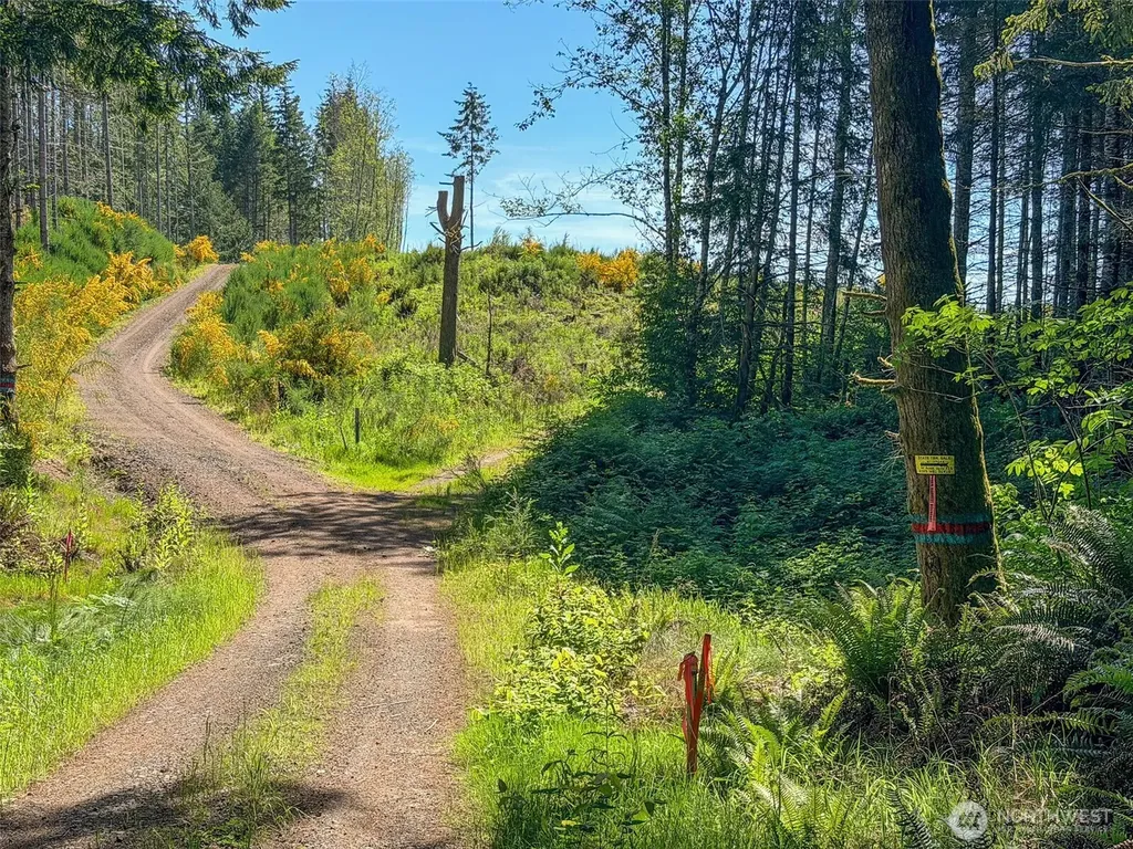 1 Andy Cooper Road Port Ludlow WA 98365