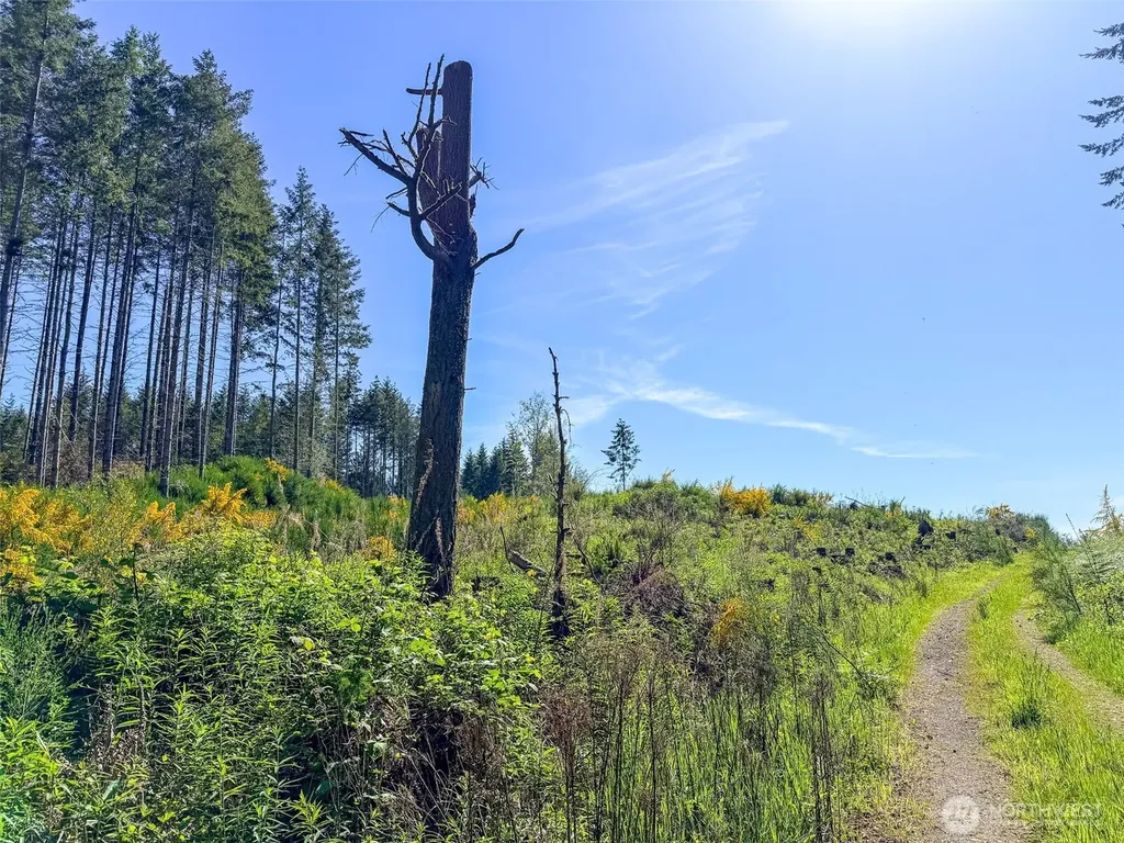 1 Andy Cooper Road Port Ludlow WA 98365