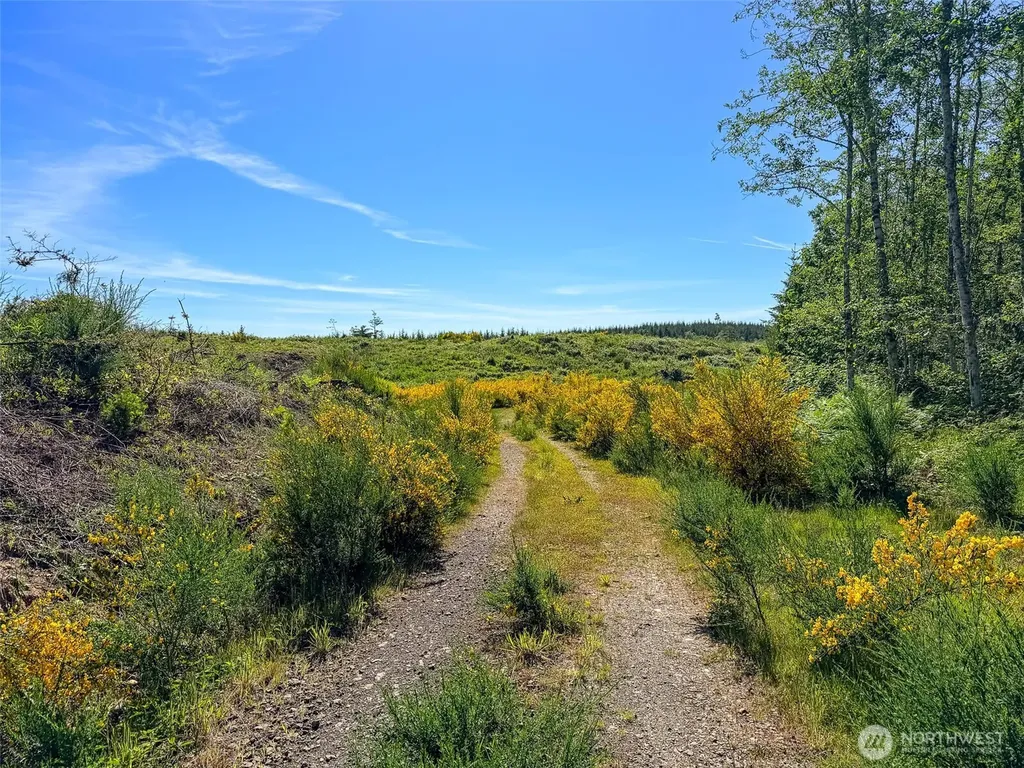 1 Andy Cooper Road Port Ludlow WA 98365