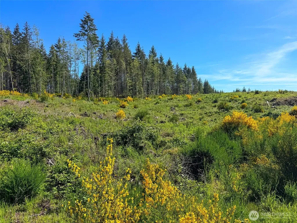 1 Andy Cooper Road Port Ludlow WA 98365